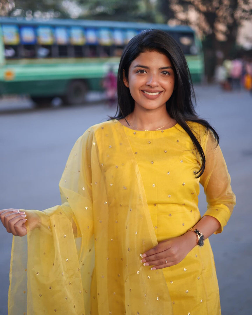 Very Ravishing Soft Organza Sequence Embroidery Suit Set