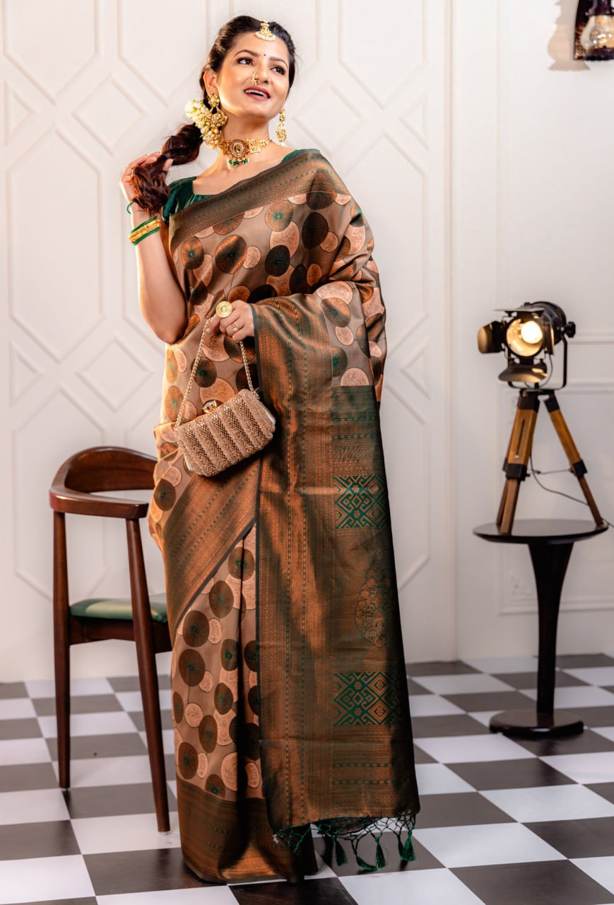 Most Good-Looking Banarasi Silk Saree With Blouse