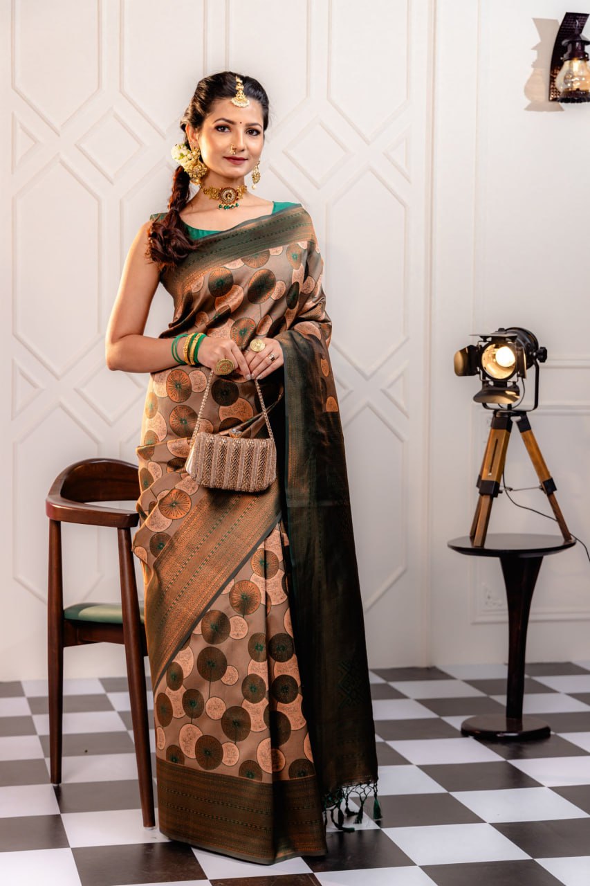 Most Good-Looking Banarasi Silk Saree With Blouse