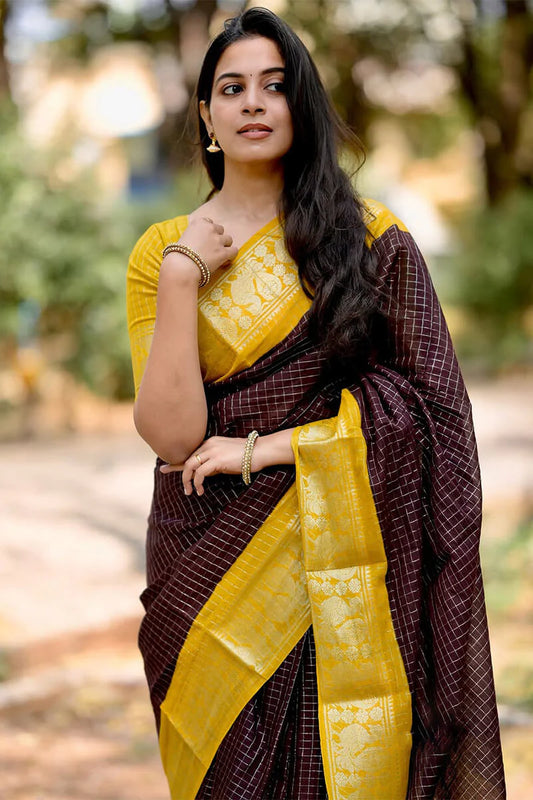 Gorgeous Brown Soft Silk Saree With Lovely Blouse Piece