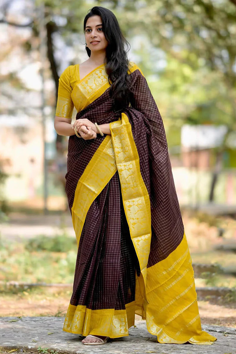 Gorgeous Brown Soft Silk Saree With Lovely Blouse Piece