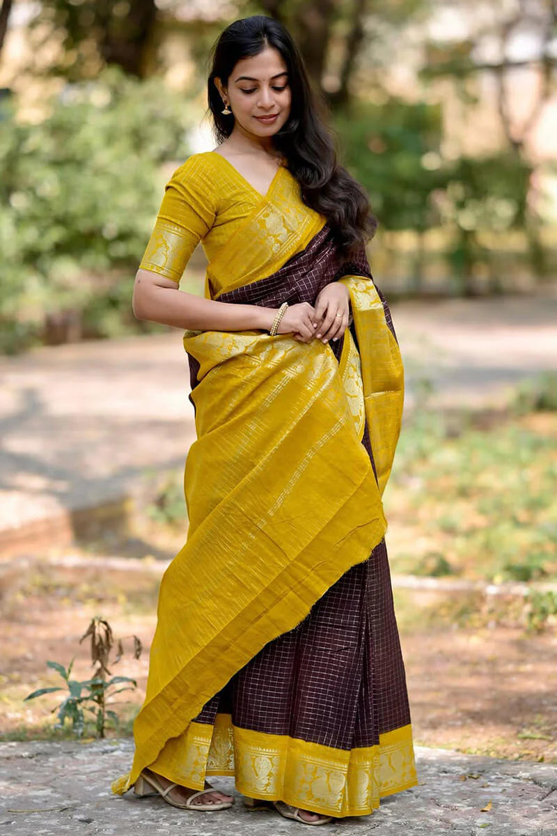 Gorgeous Brown Soft Silk Saree With Lovely Blouse Piece