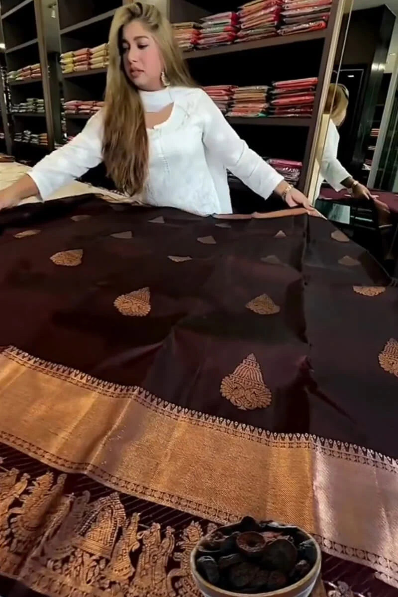 Attractive Purple Soft Banarasi Silk Saree