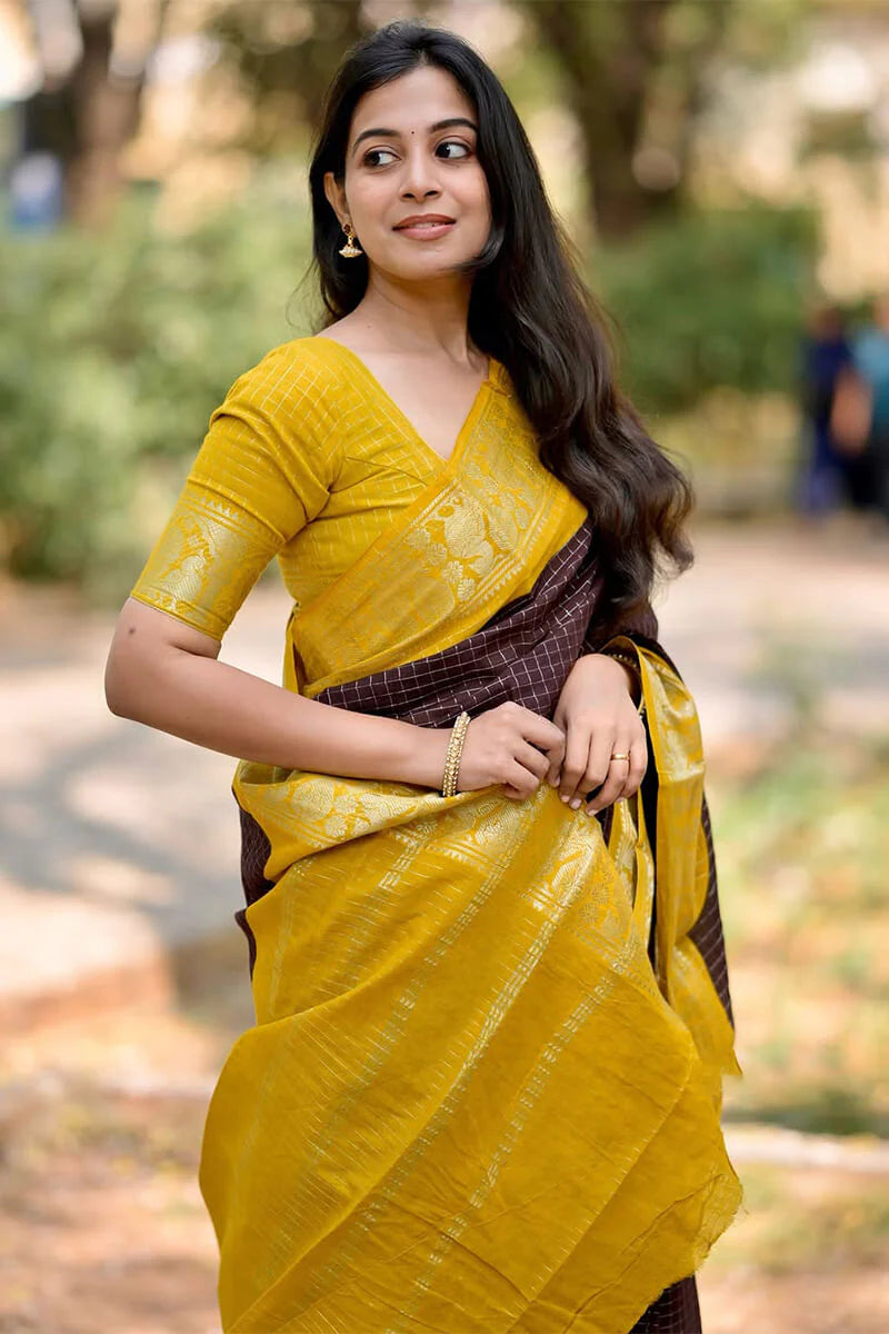 Gorgeous Brown Soft Silk Saree With Lovely Blouse Piece