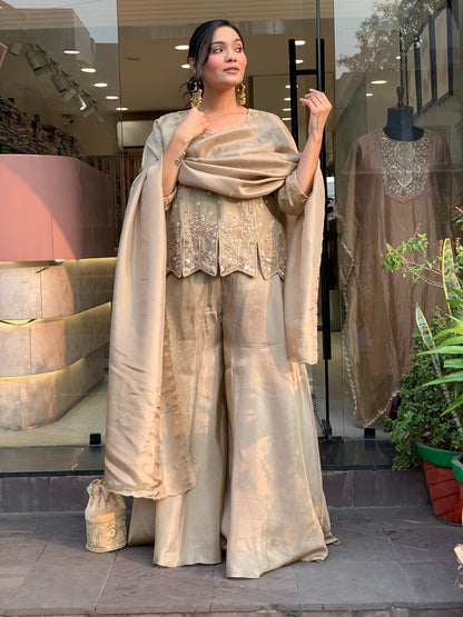 Mehrunisa Champagne Embroidered Sharara Suit Set
