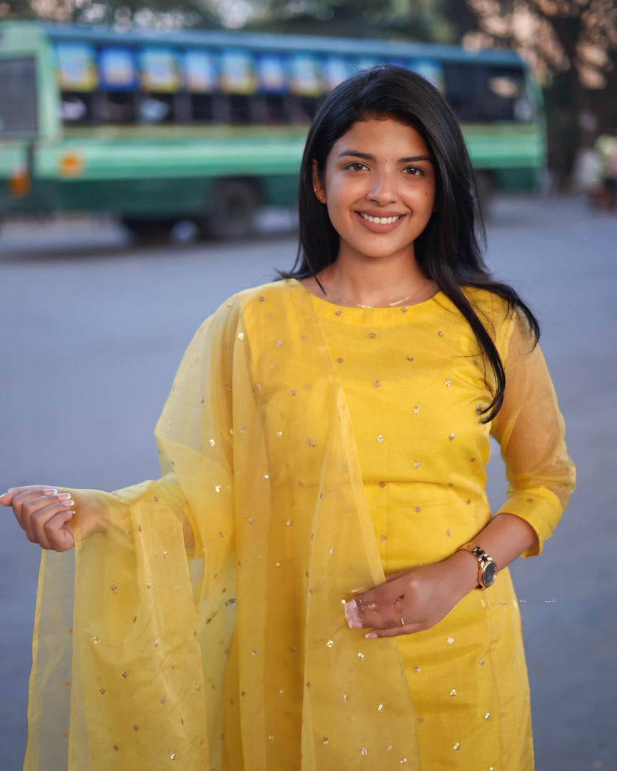 Very Ravishing Soft Organza Sequence Embroidery Suit Set