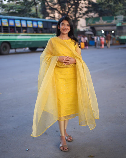 Very Ravishing Soft Organza Sequence Embroidery Suit Set