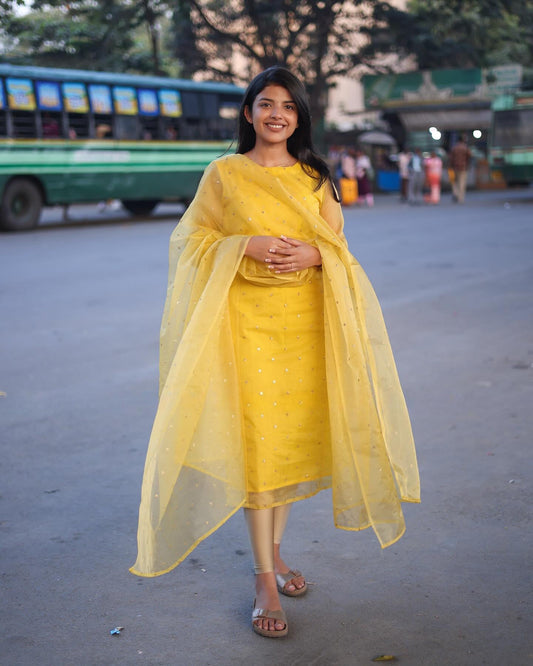 Very Ravishing Soft Organza Sequence Embroidery Suit Set