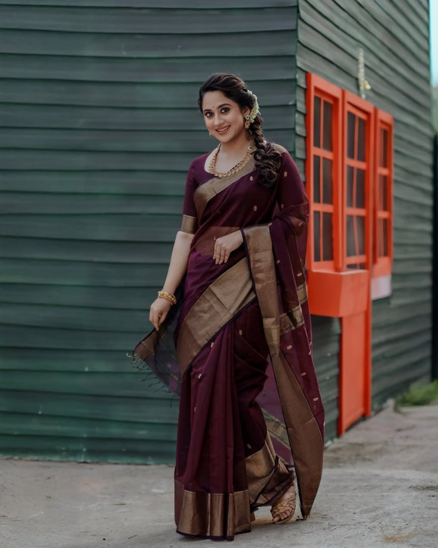 Most Pretty Banarasi Silk Saree With Rich Pallu