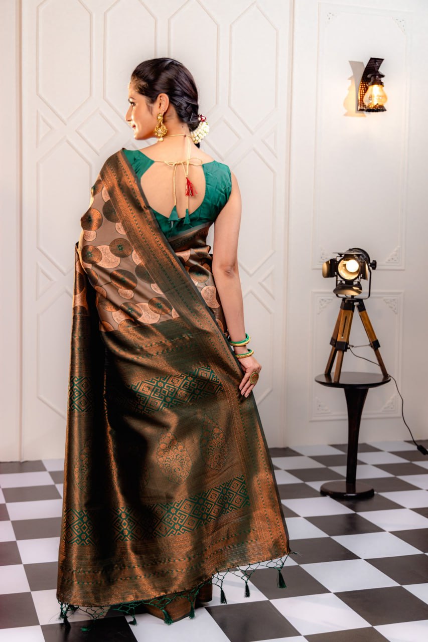 Most Good-Looking Banarasi Silk Saree With Blouse